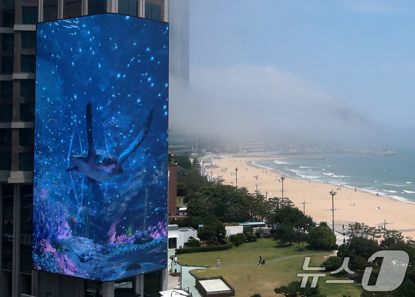 (부산=뉴스1) 윤일지 기자 = 18일 오후 부산 해운대해수욕장 앞 그랜드 조선 호텔 외벽에 설치된 초대형 미디어 전광판에 시범 상영되는 '그랜드 조선 미디어' 뒤로 달맞이고개에 …