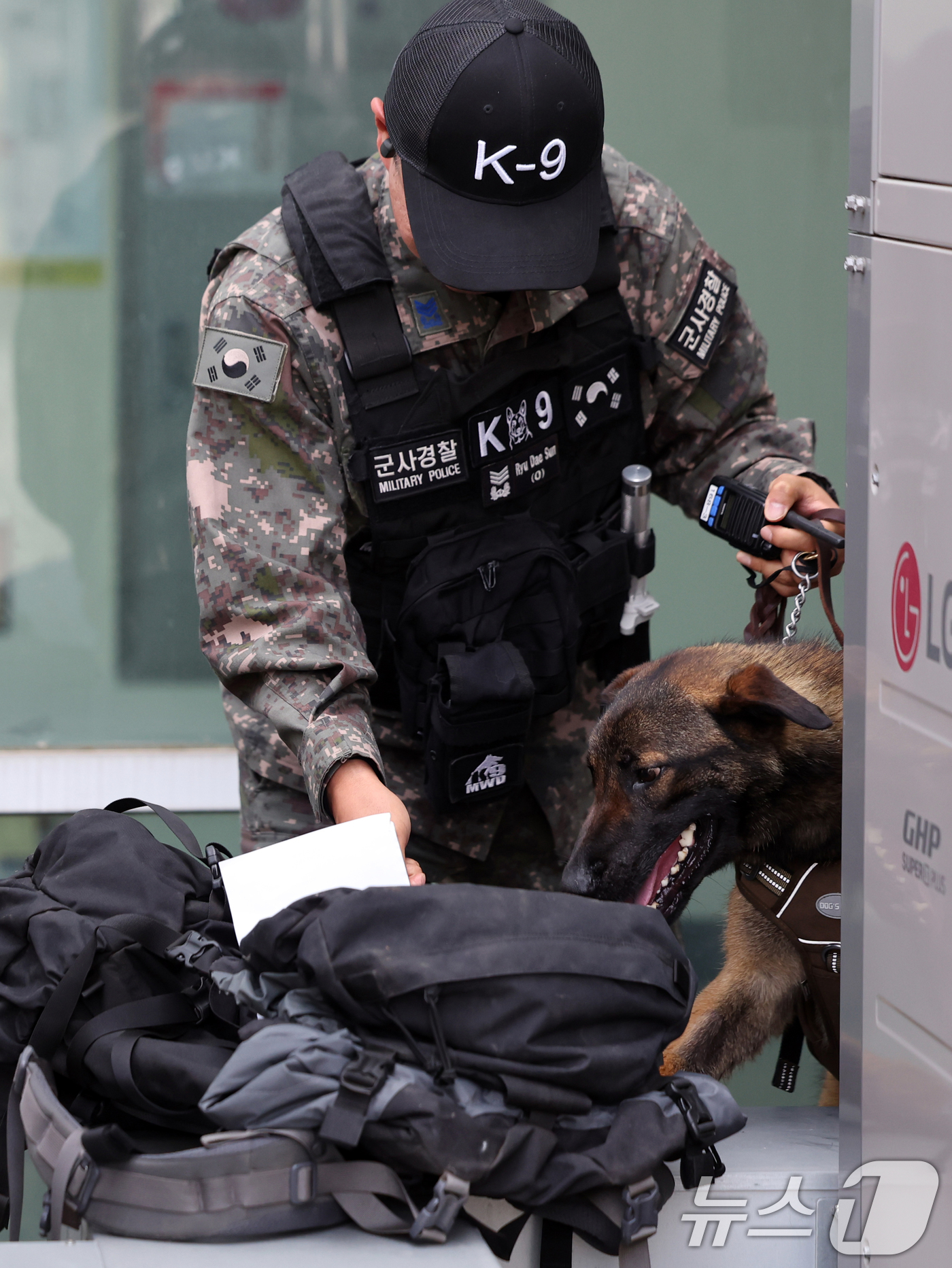 (수원=뉴스1) 황기선 기자 = 18일 오후 경기 수원시의 한 국가중요시설에서 10전투비행단 장병이 군견과 함께 대테러대응훈련을 하고 있다.이번 훈련은 '2025년 화랑훈련'의 일 …
