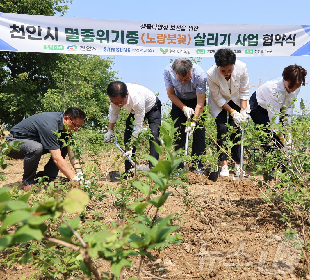 (서울=뉴스1) 김기남 기자 = 18일 천안 성성호수공원에서 김건호 천리포수목원 원장, 김석필 천안시장 권한대행, 박창용 삼성전자 천안사업장 EHS 팀장이 '2025년 천안시 멸종 …