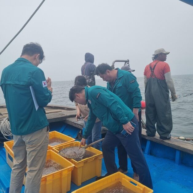 고성 자란만 1㏊에 해파리 28만 마리…지난해보다 9배↑