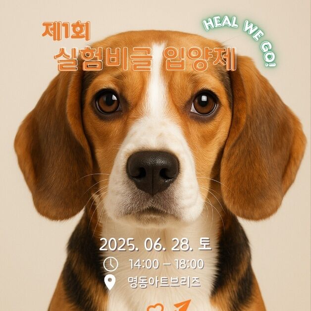 "실험 비글에게 새 삶을"…'비행기 입양제' 28일 명동서 개최