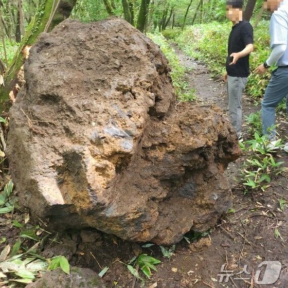 한밤중 한라산서 4톤 자연석 훔친 50대 항소심서도 실형