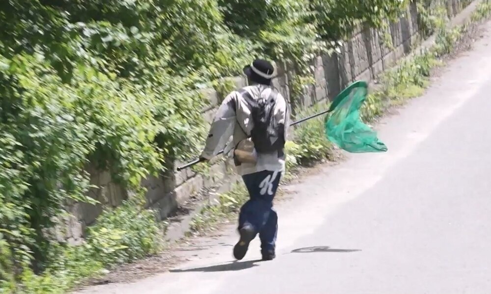 본문 이미지 - MBC