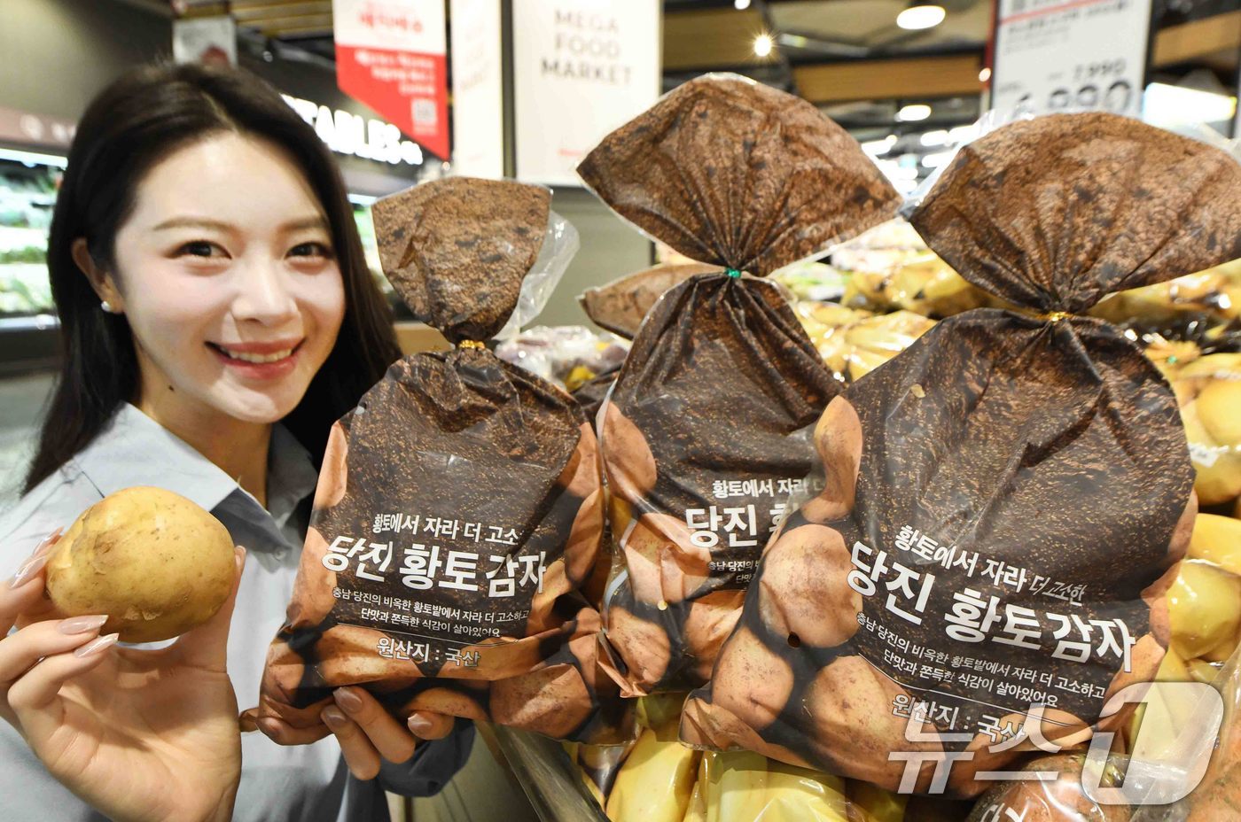 (서울=뉴스1) 이연주 기자 = 홈플러스가 19일 충남 당진에서 재배한 신선한 '당진 황토 감자'를 홈플러스 최초로 선보인다고 밝혔다.모델이 19일 서울 등촌동 '홈플러스 메가 푸 …