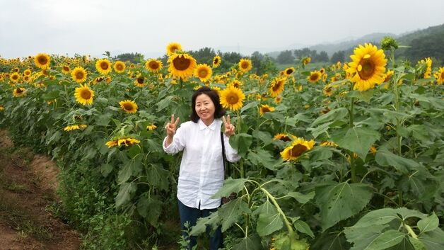 집에서 쓰러져 뇌사 상태…65세 여성, 2명 살리고 하늘로