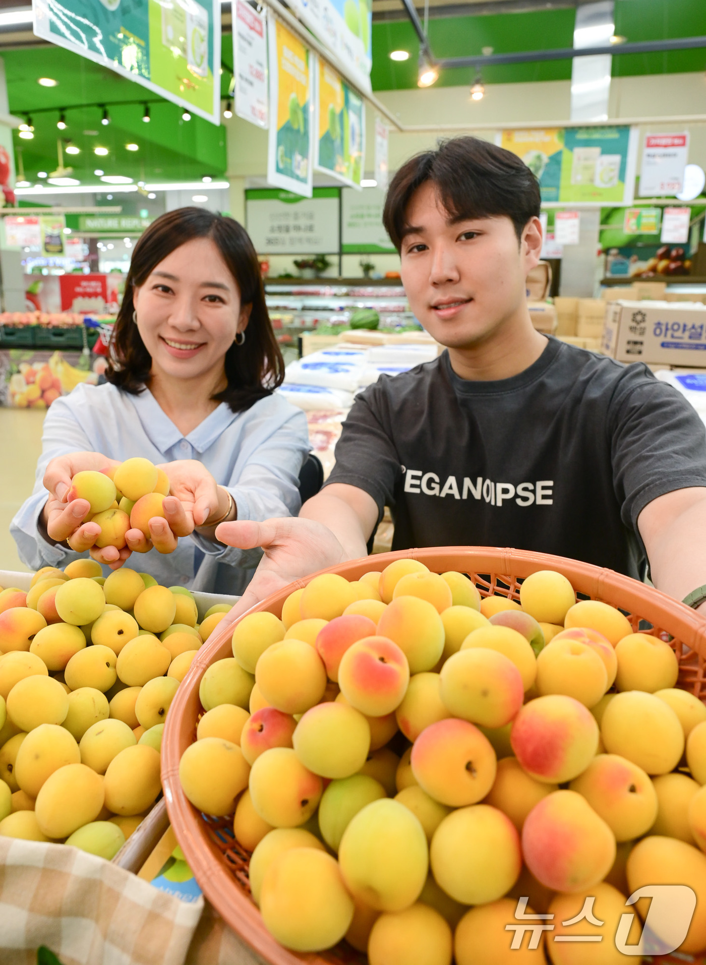 (서울=뉴스1) 이연주 기자 = 농식품 전문 매장 농협 하나로마트를 운영하는 농협유통은 여름에만 반짝 판매하는 '남고 홍매실'을 선보였다고 19일 밝혔다.19일 서울 서초구 하나로 …