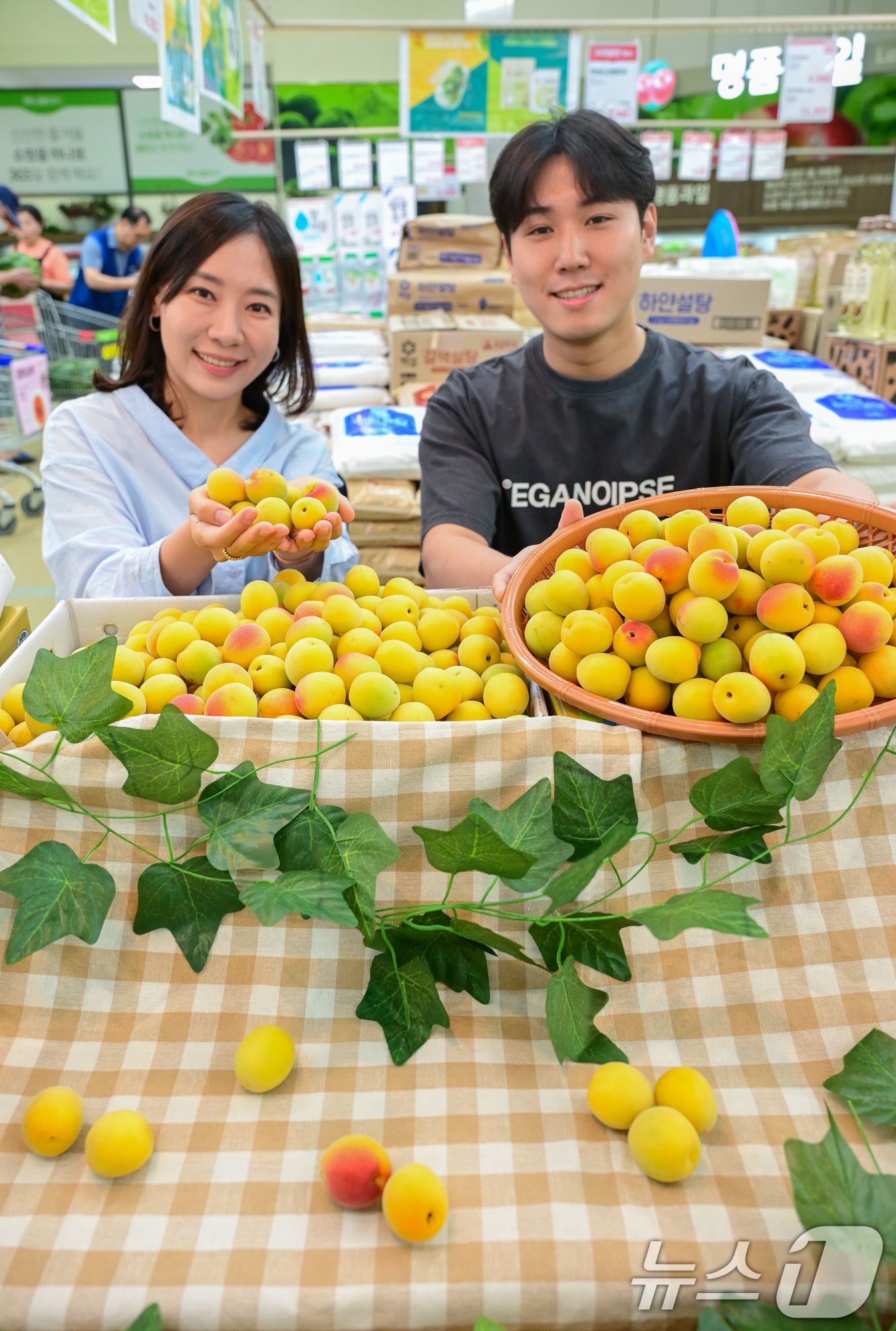 (서울=뉴스1) 이연주 기자 = 농식품 전문 매장 농협 하나로마트를 운영하는 농협유통은 여름에만 반짝 판매하는 '남고 홍매실'을 선보였다고 19일 밝혔다.19일 서울 서초구 하나로 …