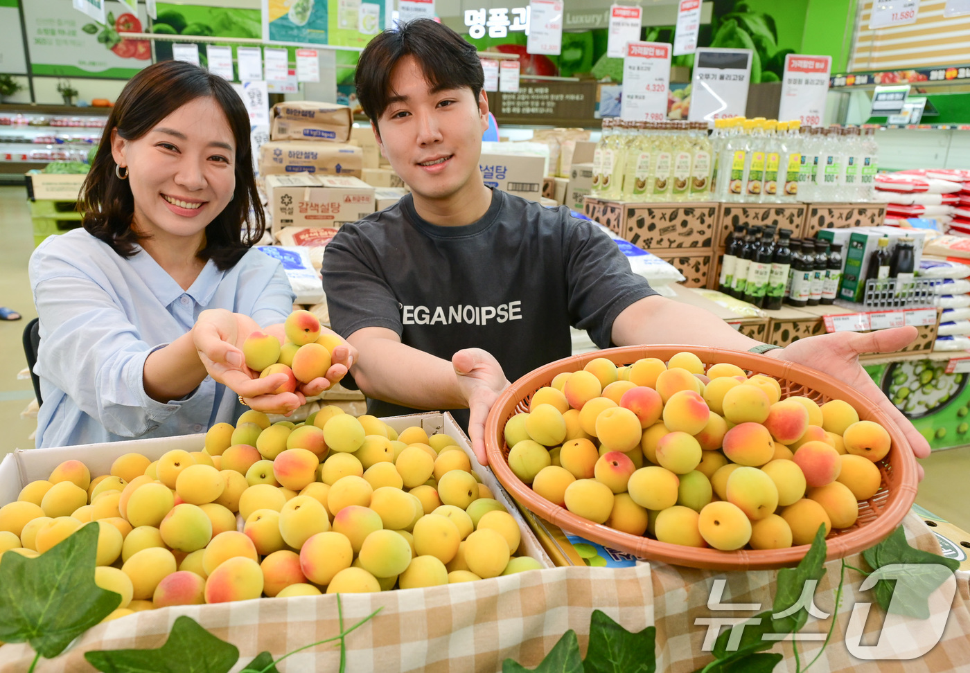 (서울=뉴스1) 이연주 기자 = 농식품 전문 매장 농협 하나로마트를 운영하는 농협유통은 여름에만 반짝 판매하는 '남고 홍매실'을 선보였다고 19일 밝혔다.19일 서울 서초구 하나로 …