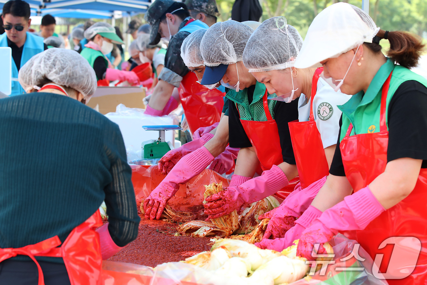 (대구=뉴스1) 공정식 기자 = 19일 대구 동구 율하체육공원에서 열린 '초록우산이 펼치는 초능력 김치 나눔'에 참여한 봉사자들이 배추와 양념을 버무리고 있다.아동복지전문기관 초록 …