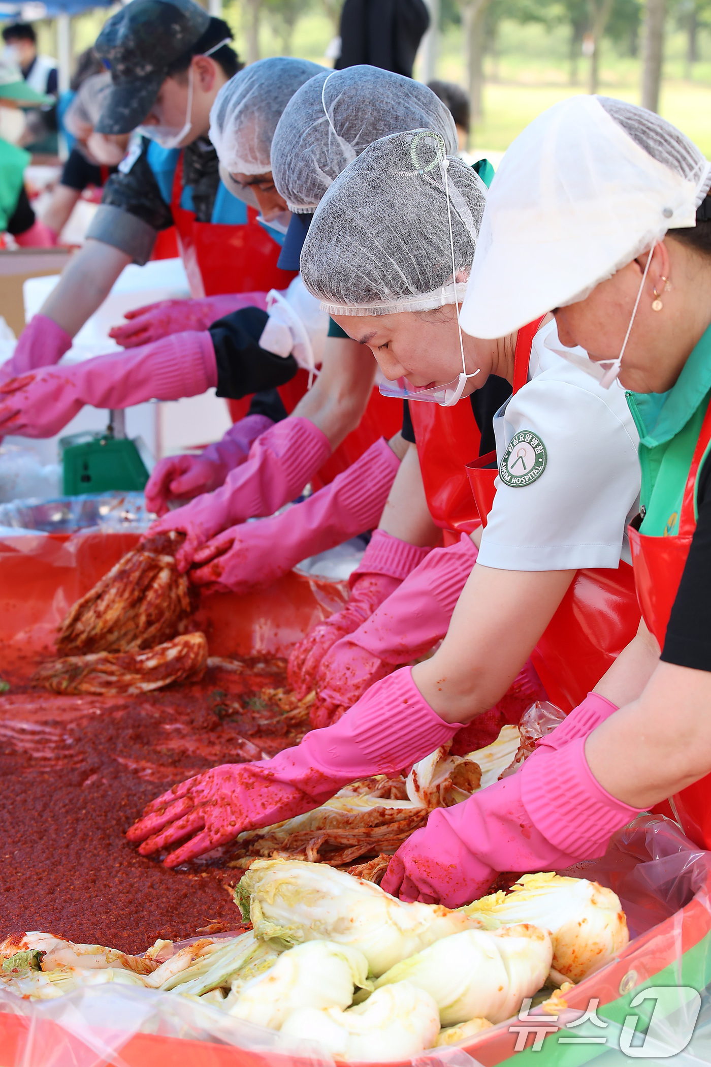 (대구=뉴스1) 공정식 기자 = 19일 대구 동구 율하체육공원에서 열린 '초록우산이 펼치는 초능력 김치 나눔'에 참여한 봉사자들이 배추와 양념을 버무리고 있다.아동복지전문기관 초록 …