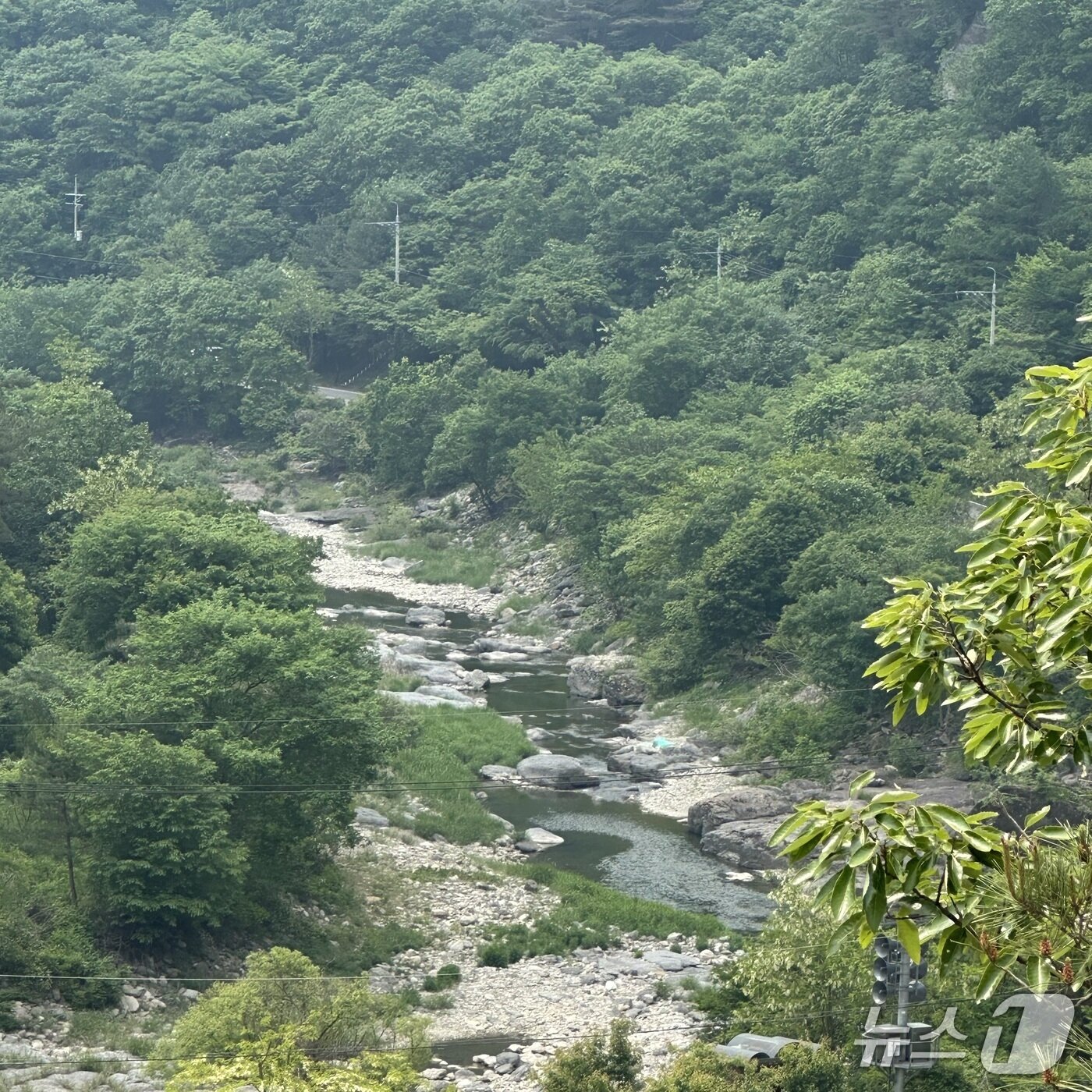본문 이미지 - 경기 연천군 아미천 동막계곡 일대. 2025.6.19/뉴스1 ⓒ News1 이상휼 기자