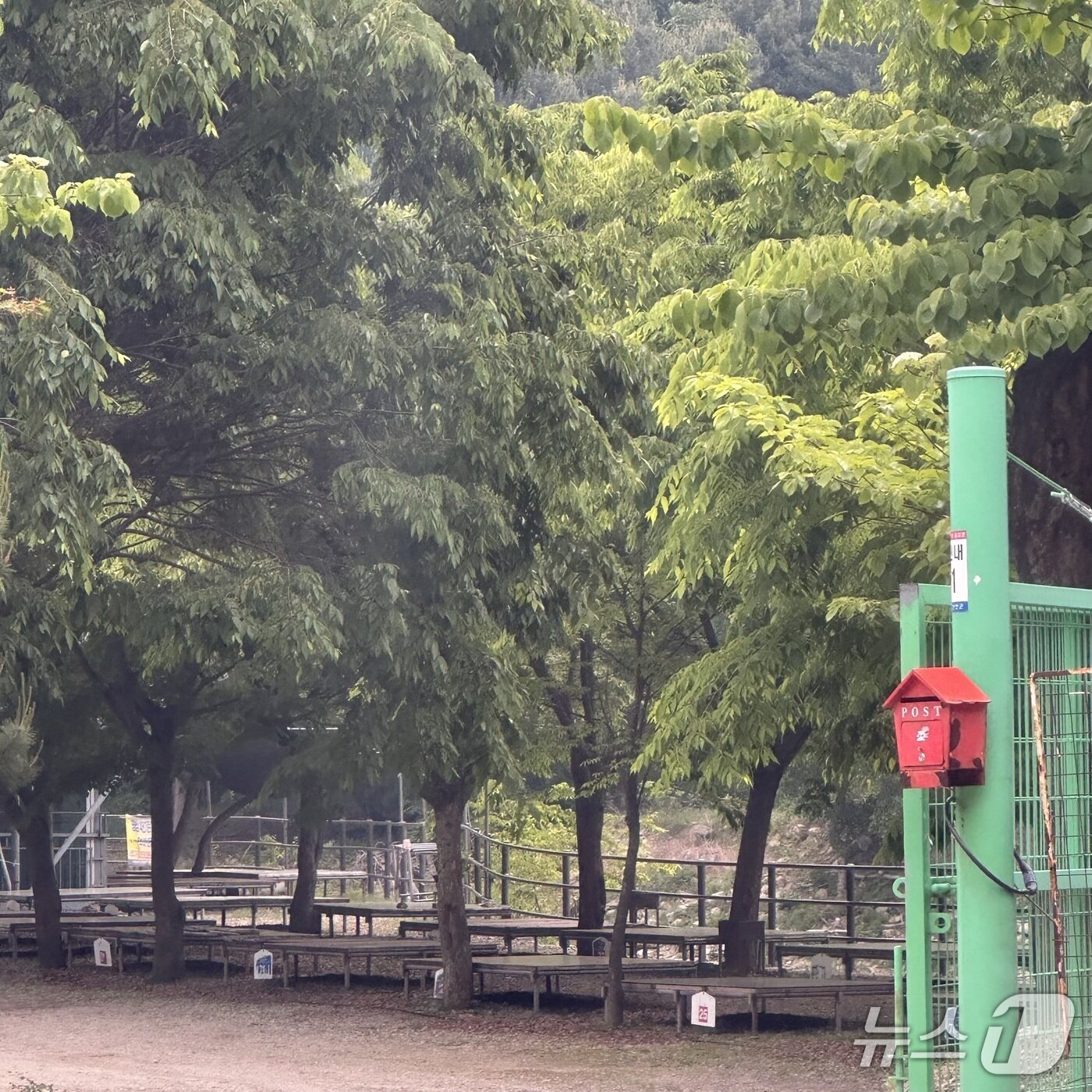 본문 이미지 - 경기 연천군 아미천 동막계곡 일대 하천변으로 가는 길을 통제하고 영업을 벌이는 음식점. 2025.6.19/뉴스1 ⓒ News1 이상휼 기자