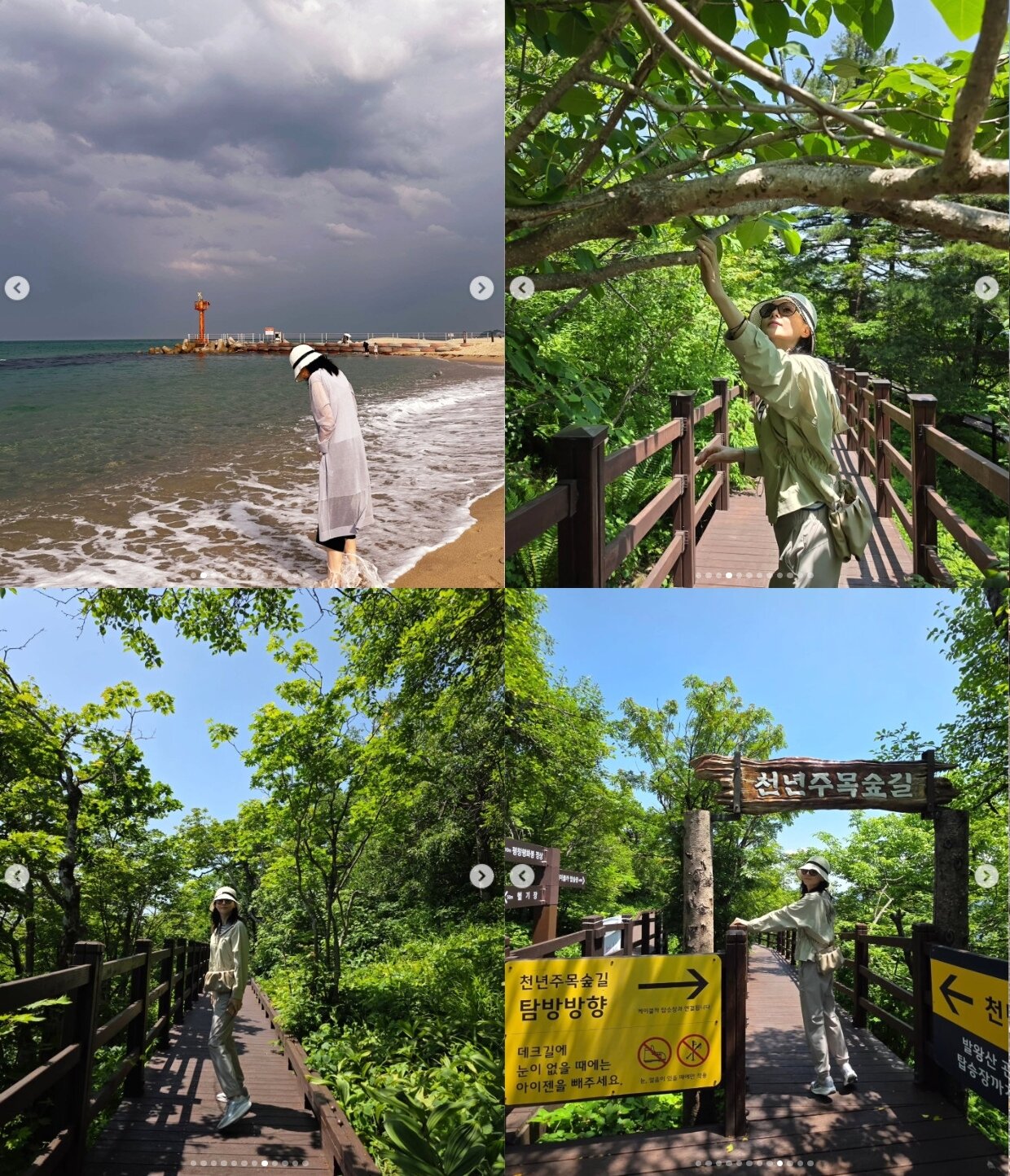 본문 이미지 - 이영애 인스타그램