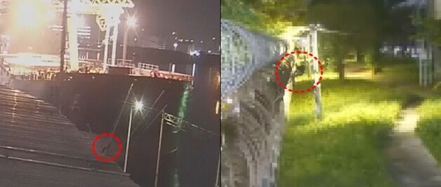 인천항서 울타리 월담해 밀입국 시도한 베트남 선원 검거