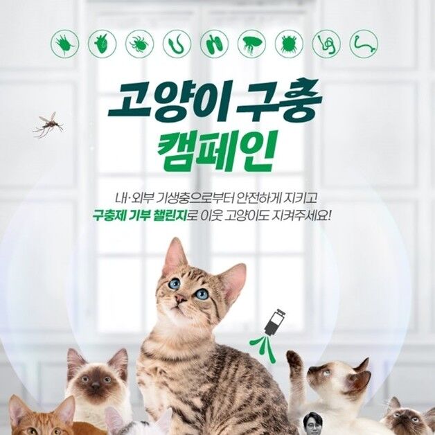 "집고양이도 구충해야"…베링거인겔하임동물약품, '냥신'과 캠페인