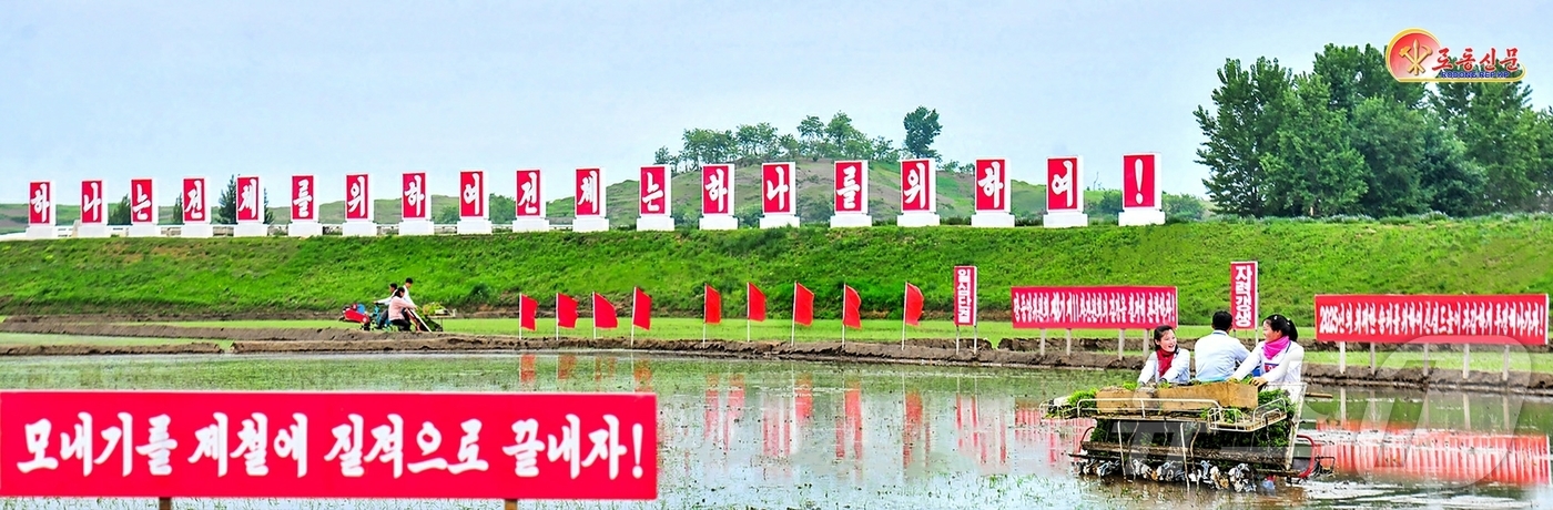 (평양 노동신문=뉴스1) = 북한 노동당 기관지 노동신문은 2일 각지 농업 부문 일꾼(간부)들과 근로자들, 지원자들의 투쟁 열의가 고조되고 있는 가운데 지난 1일 기준 전국 모내기 …