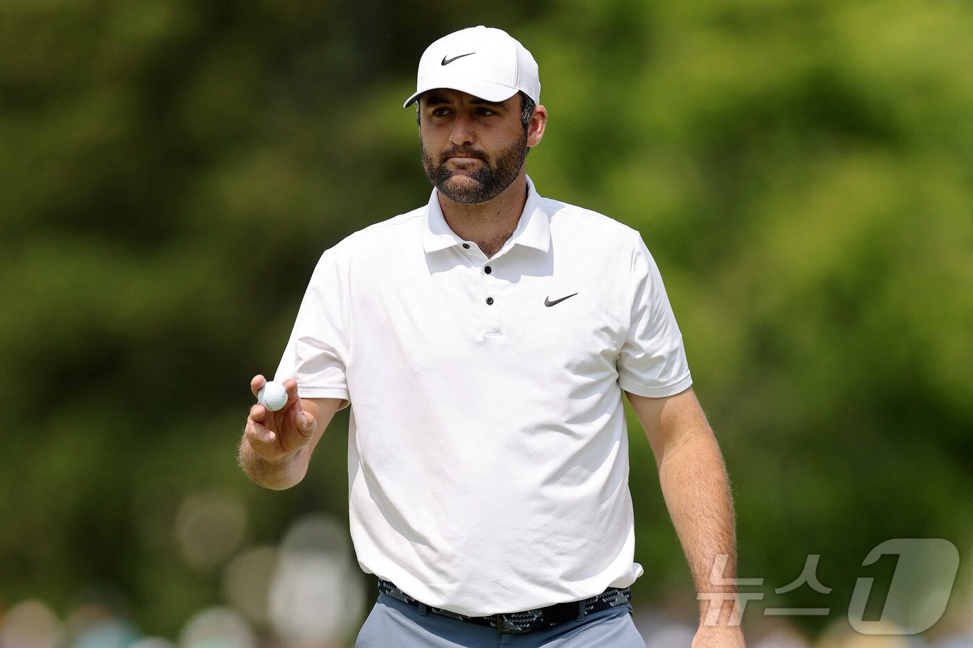 본문 이미지 - 스코티 셰플러&#40;미국&#41;. ⓒ AFP=뉴스1