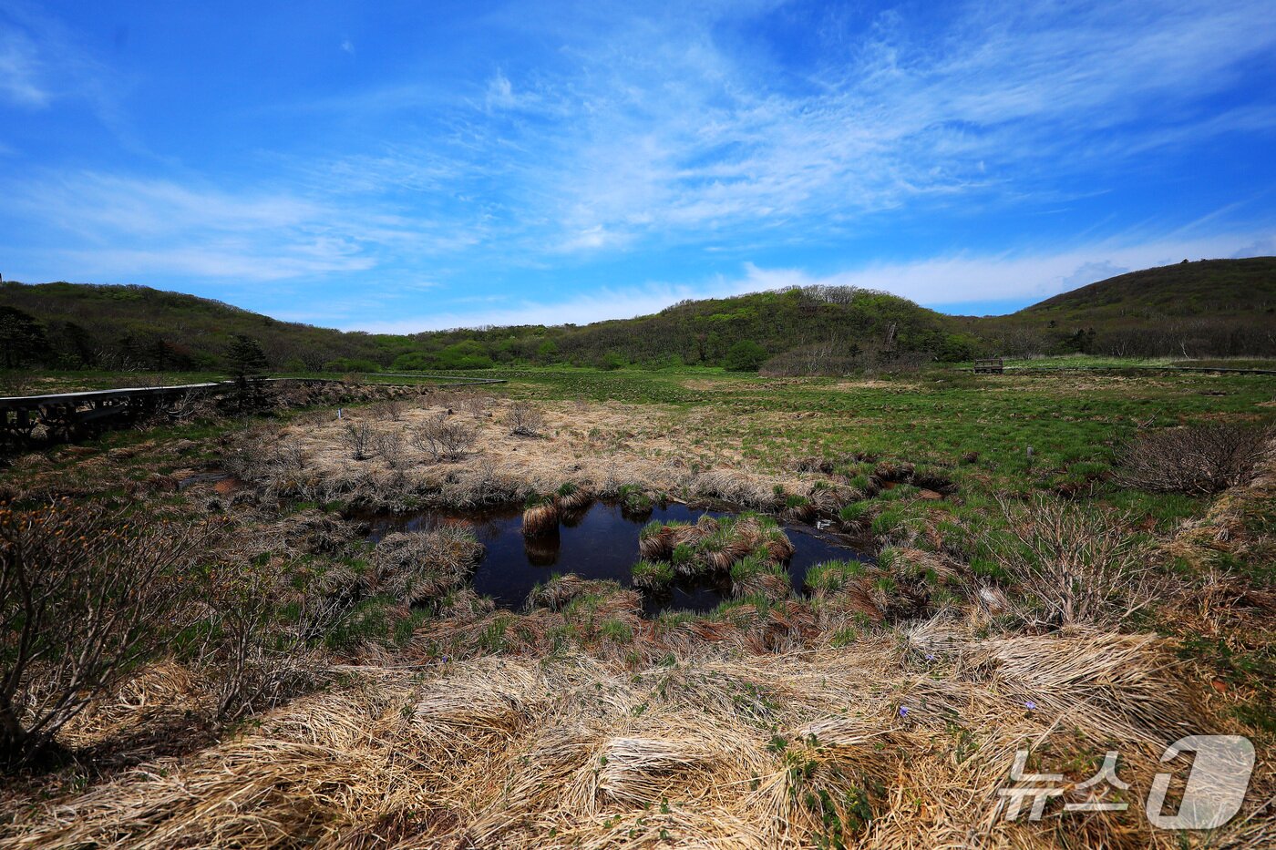 본문 이미지 - 인제 대암산 용늪.&#40;인제군 제공. 재판매 및 DB금지&#41;/뉴스1