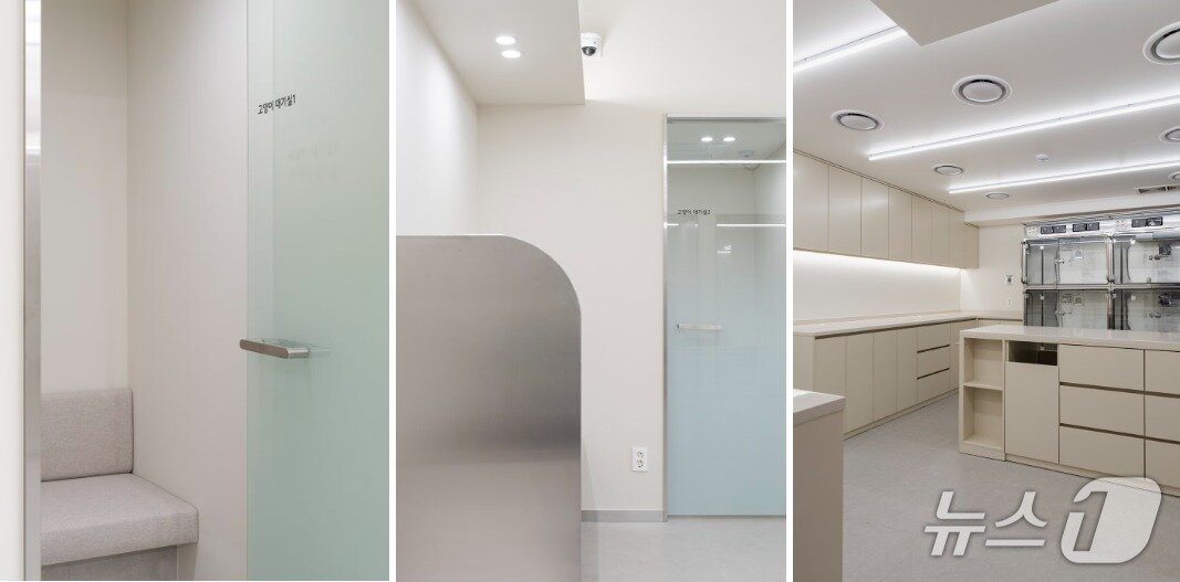 본문 이미지 - 고양이 대기실과 입원실&#40;으뜸동물의료센터 제공&#41; ⓒ 뉴스1