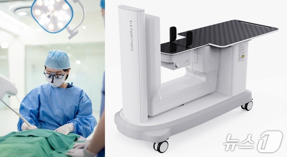 본문 이미지 - 반려동물 치료를 하고 있는 강지아 으뜸동물의료센터 원장과 동물용 치과 전용 CT&#40;동물병원, 우리엔 제공&#41; ⓒ 뉴스1