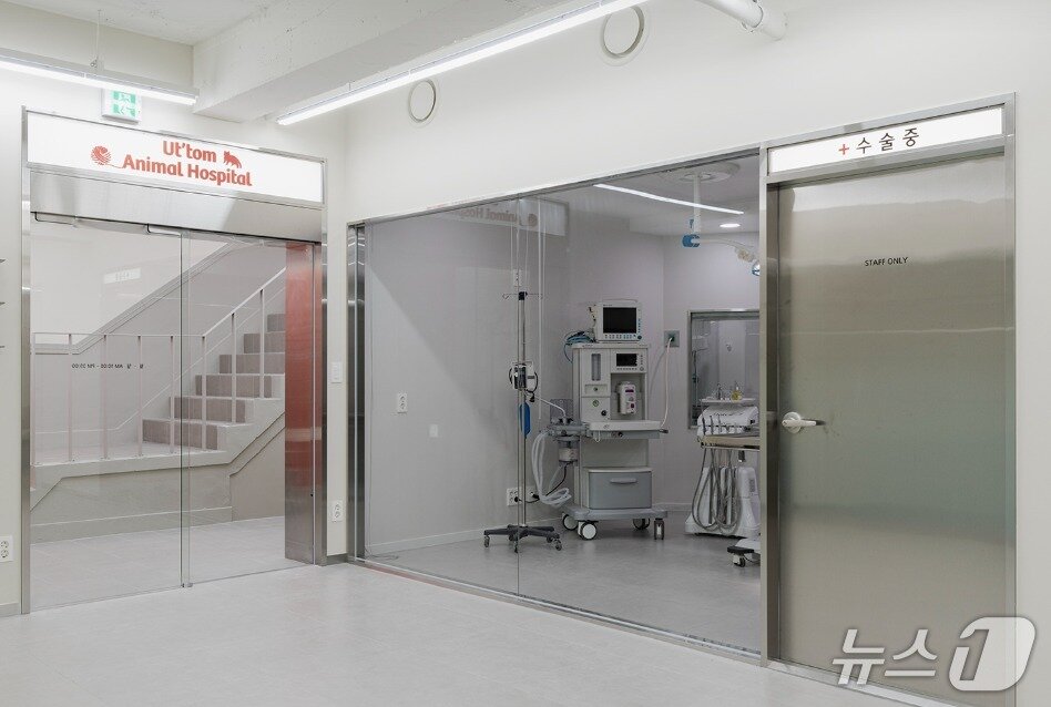 본문 이미지 - 으뜸동물의료센터 치과 수술실&#40;동물병원 제공&#41; ⓒ 뉴스1