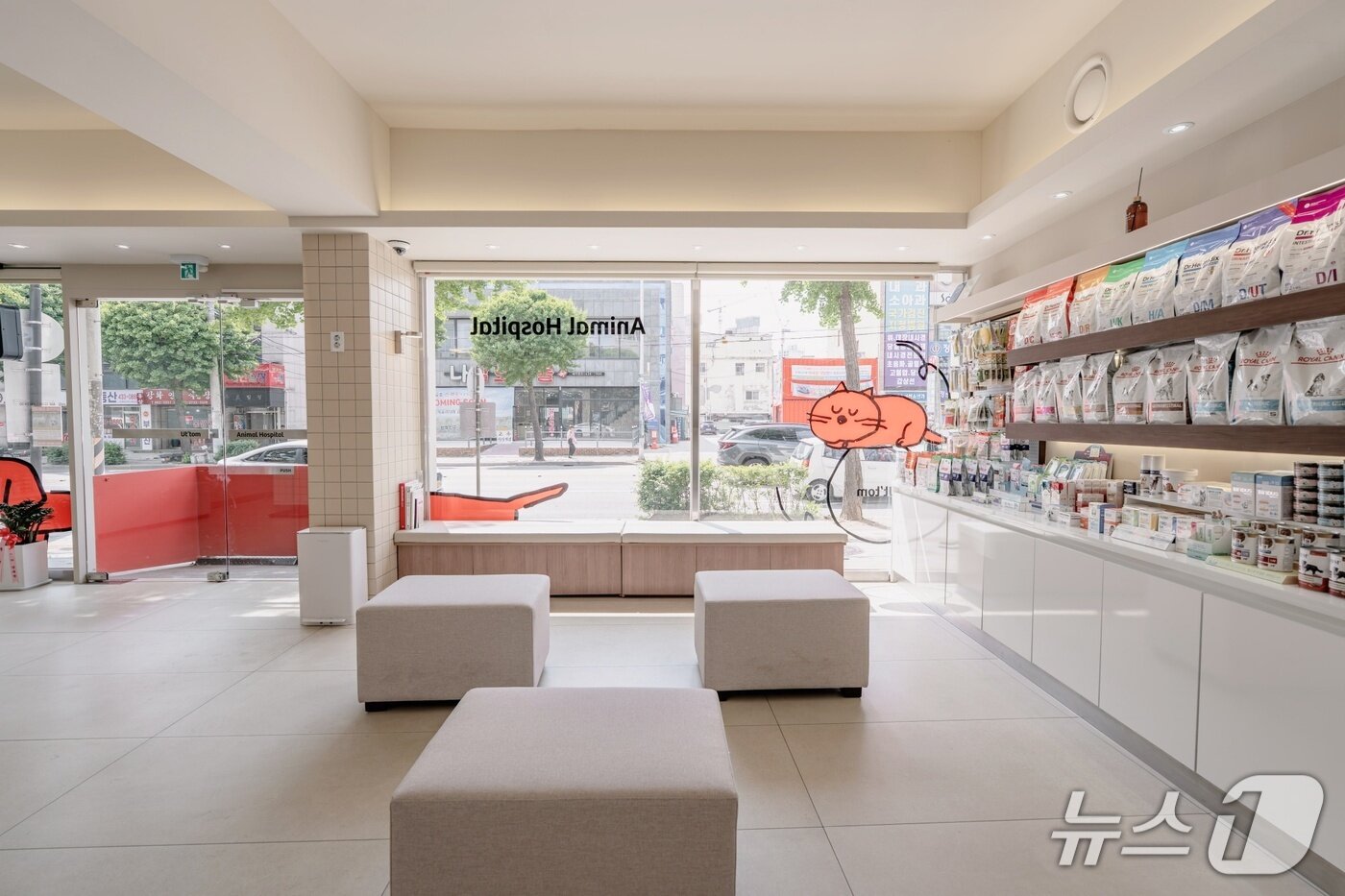 본문 이미지 - 으뜸동물의료센터 내부&#40;동물병원 제공&#41; ⓒ 뉴스1