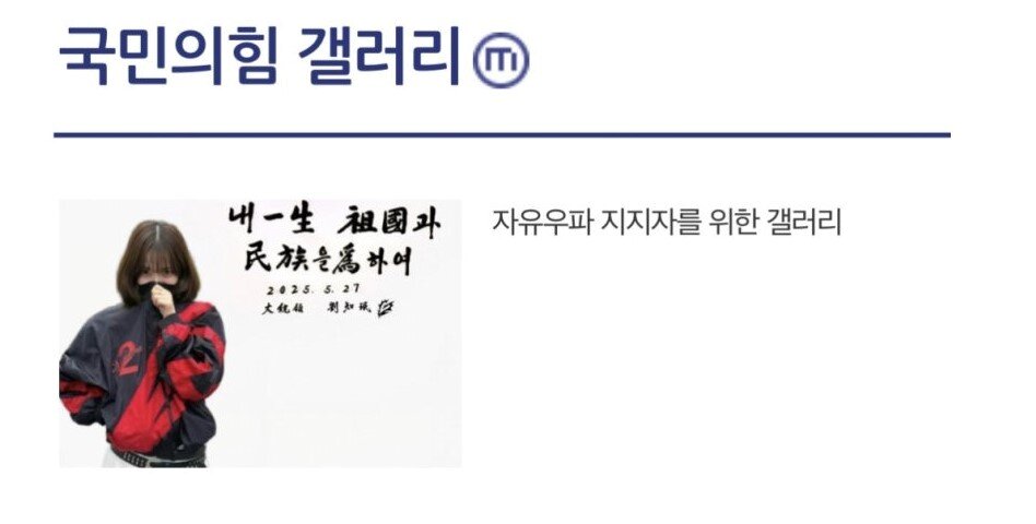 본문 이미지 - &#40;국민의힘 갤러리 갈무리&#41;