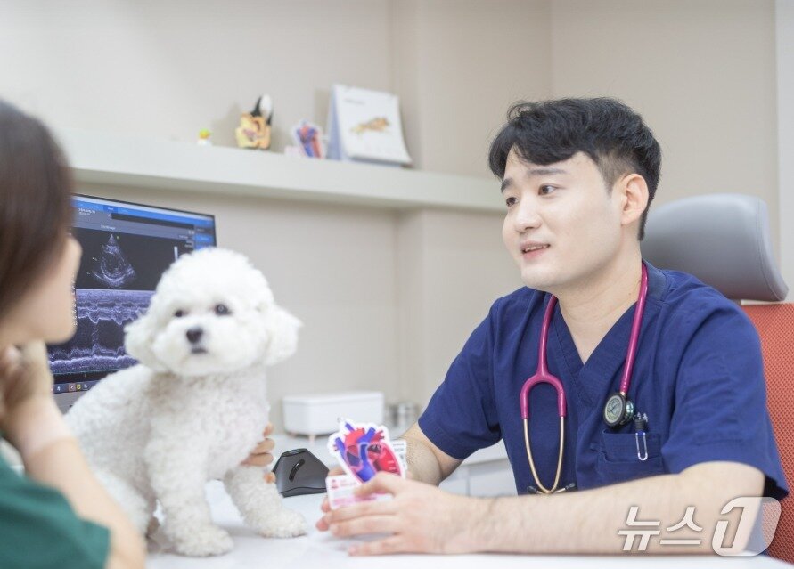 본문 이미지 - 류승욱 으뜸동물의료센터 원장이 반려견 심장 질병 상담을 하고 있다&#40;동물병원 제공&#41;. ⓒ 뉴스1