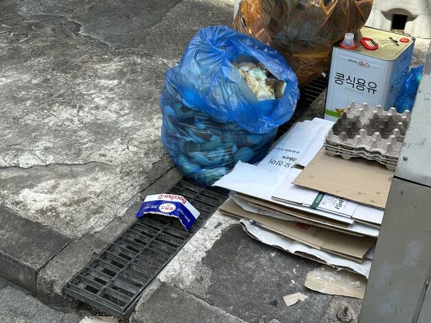 "침수? 50년간 버티고 있을 뿐"…장마 시작에 불안한 강남·신림 사람들
