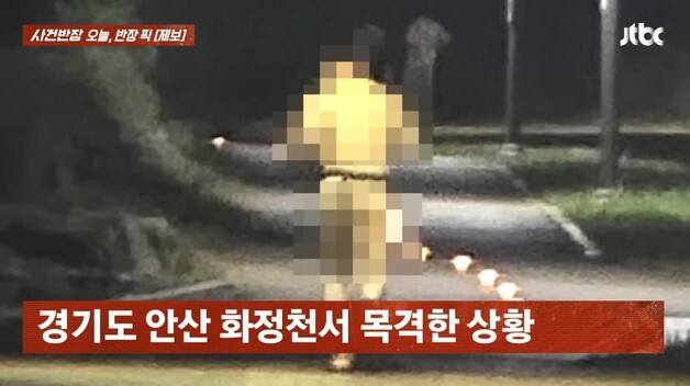 '알몸에 허리 힙색만 달랑' 50대 러닝 남성…"뛸 때마다 중요부위 노출"