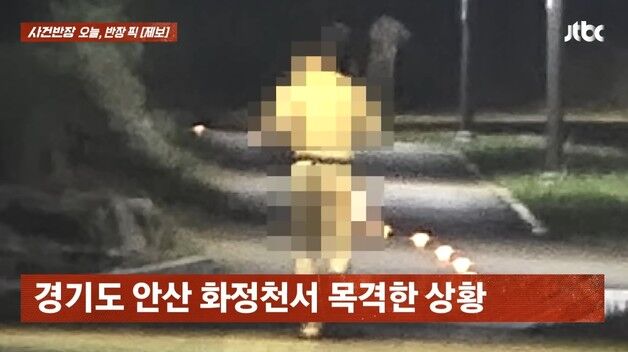 '알몸에 허리 힙색만 달랑' 50대 러닝 남성…"뛸 때마다 중요부위 노출"