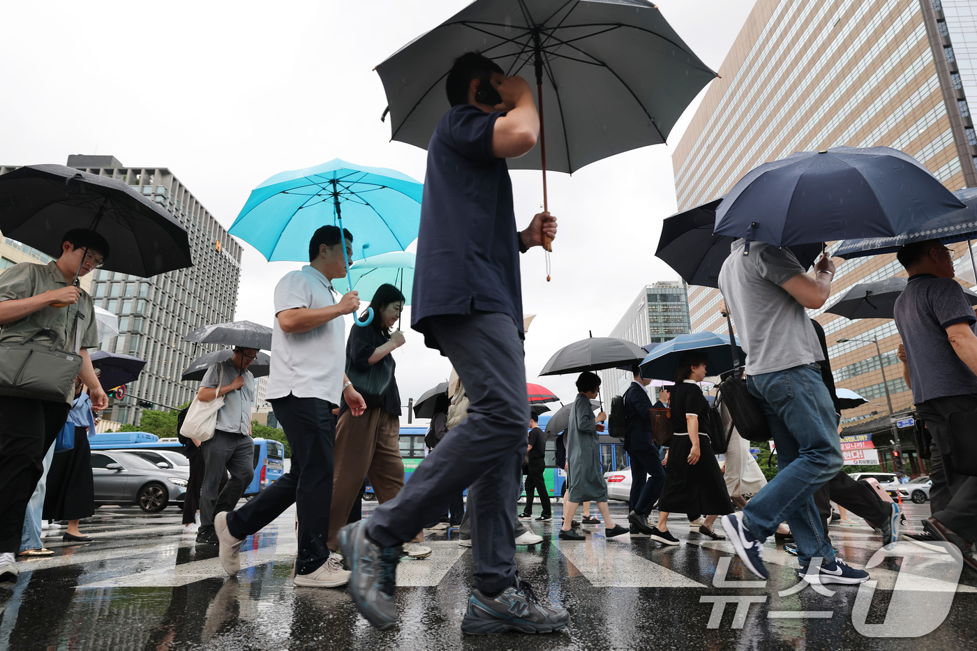 (서울=뉴스1) 임세영 기자 = 장마가 시작되며 서울 전역에 호우주의보가 내려진 20일 오전 서울 광화문네거리에서 우산을 쓴 시민들이 출근하고 있다. 2025.6.20/뉴스1