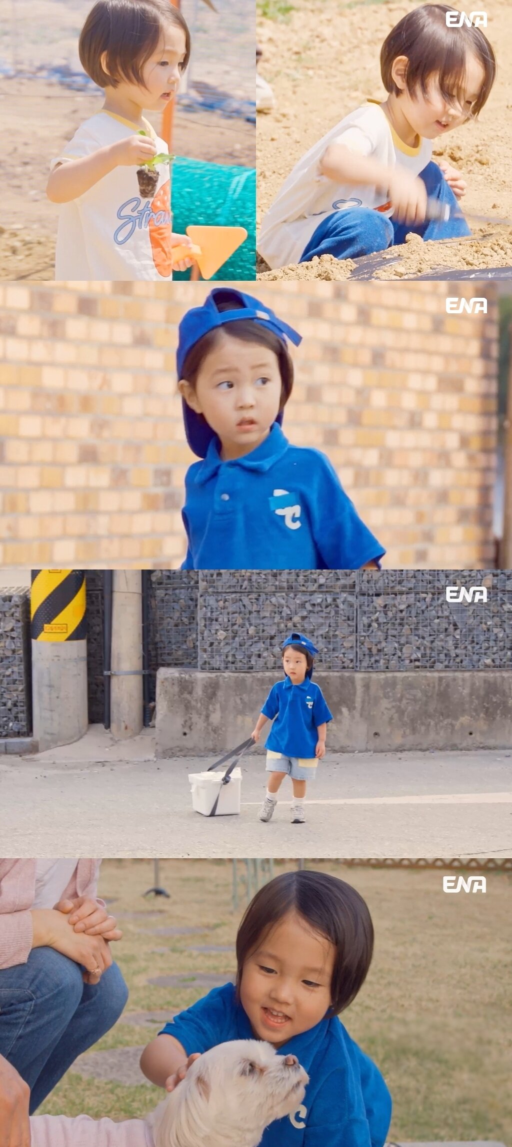 본문 이미지 - ENA