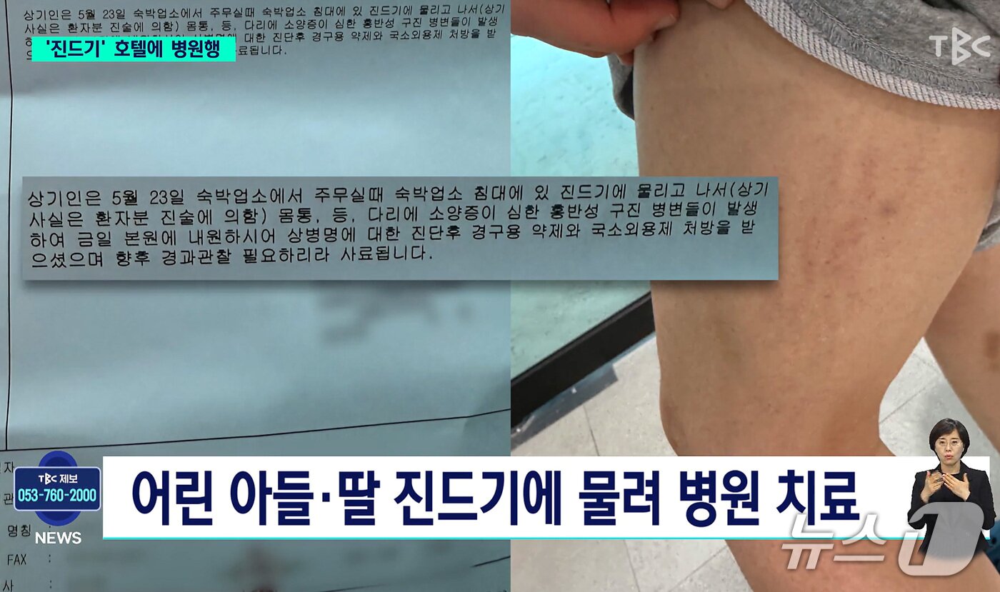 본문 이미지 - 대구의 한 호텔 방에서 진드기가 발견됐다. (TBC 화면 갈무리)