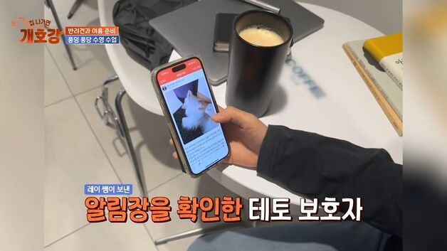 강아지 유치원에서도 '키즈노트'…"모든 돌봄 현장 연결"