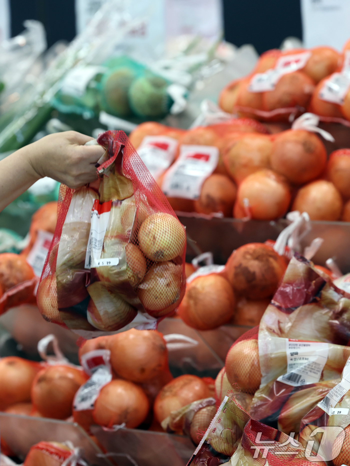 (서울=뉴스1) 황기선 기자 = 20일 서울시내 한 대형마트에서 고객이 양파를 고르고 있다.이날 한국은행에 따르면 지난 5월 생산자물가지수는 119.66으로 전월(120.14) 대 …