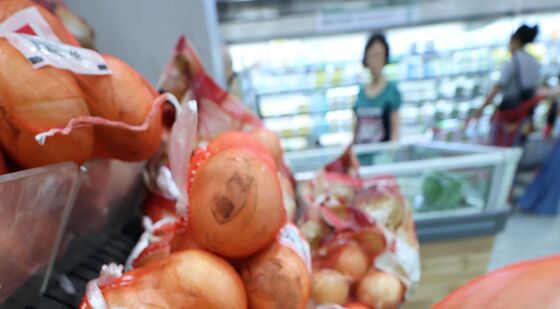 생산자물가 2개월 연속 하락세…참외 53%·양파 42% '뚝'