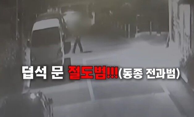 '사이드미러 오픈' 미끼 문 빈차털이범…형사 잠복한 차 문 '벌컥'