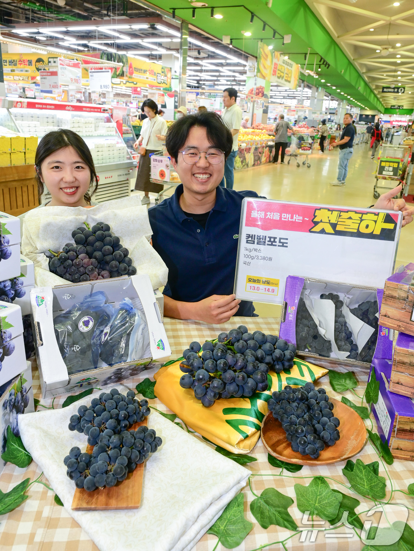 (서울=뉴스1) = 22일 서울 서초구 하나로마트 양재점에서 모델들이 올해 처음 판매하는 켐벨 포도를 소개하고 있다. (농협유통 제공. 재판매 및 DB 금지) 2025.6.22뉴스 …