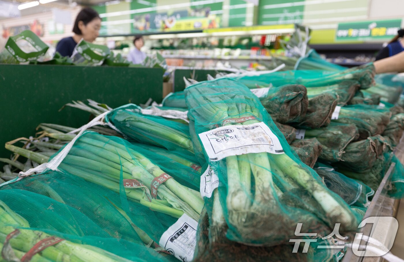 본문 이미지 - 여름 제철 농산물 가격이 줄줄이 오름세를 보이는 가운데 22일 서울 시내의 한 대형 마트에 대파가 진열돼 있다. 2025.6.22/뉴스1 ⓒ News1 이승배 기자