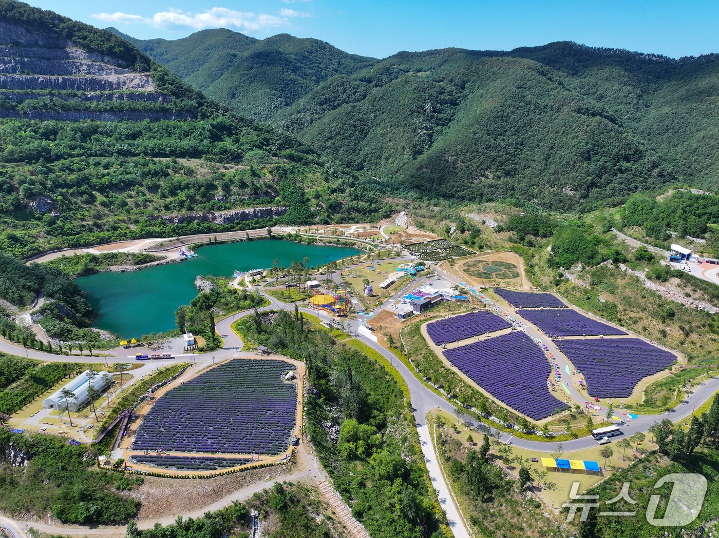 본문 이미지 - 2025 무릉별유천지 라벤더 축제 현장.&#40;동해시 제공, 재판매 및 DB금지&#41;