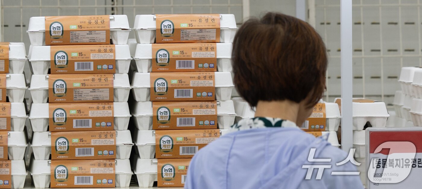 본문 이미지 - 계란 가격이 4년 만에 최고 수준을 기록한 가운데 22일 서울 시내의 한 대형마트에 계란이 진열돼 있다. 2025.6.22/뉴스1 ⓒ News1 이승배 기자