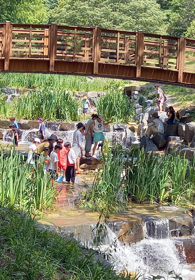 (대전=뉴스1) 박찬수 기자 = 대전의 한낮 기온이 30도 안팎으로 오르면서 무더위 날씨를 보인 22일 오후 대전 중구 사정공원 계곡을 찾은 시민들이 물놀이로 더위를 식히고 있다. …