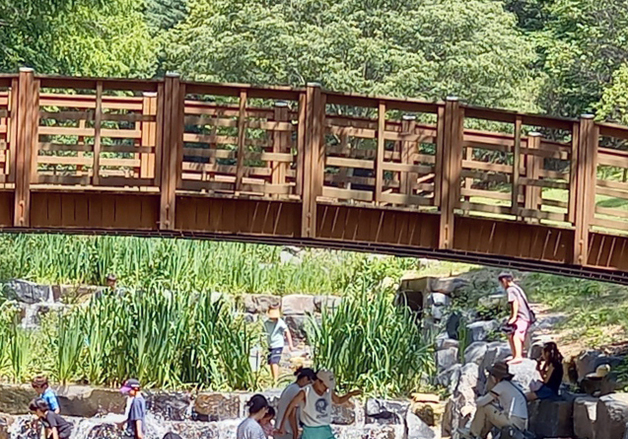 비 갠 뒤 '찐' 여름 시작?