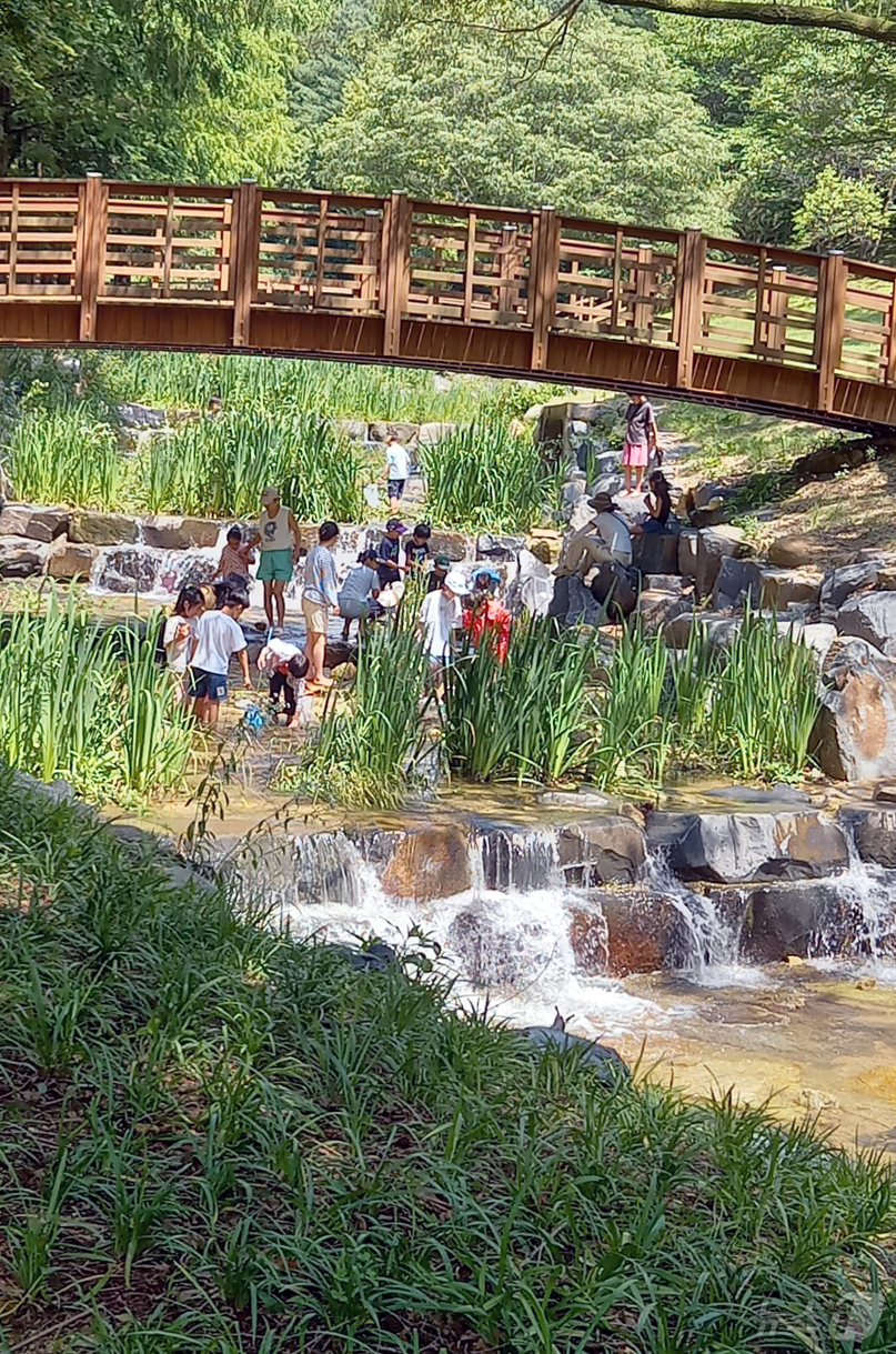 (대전=뉴스1) 박찬수 기자 = 대전의 한낮 기온이 30도 안팎으로 오르면서 무더위 날씨를 보인 22일 오후 대전 중구 사정공원 계곡을 찾은 시민들이 물놀이로 더위를 식히고 있다. …