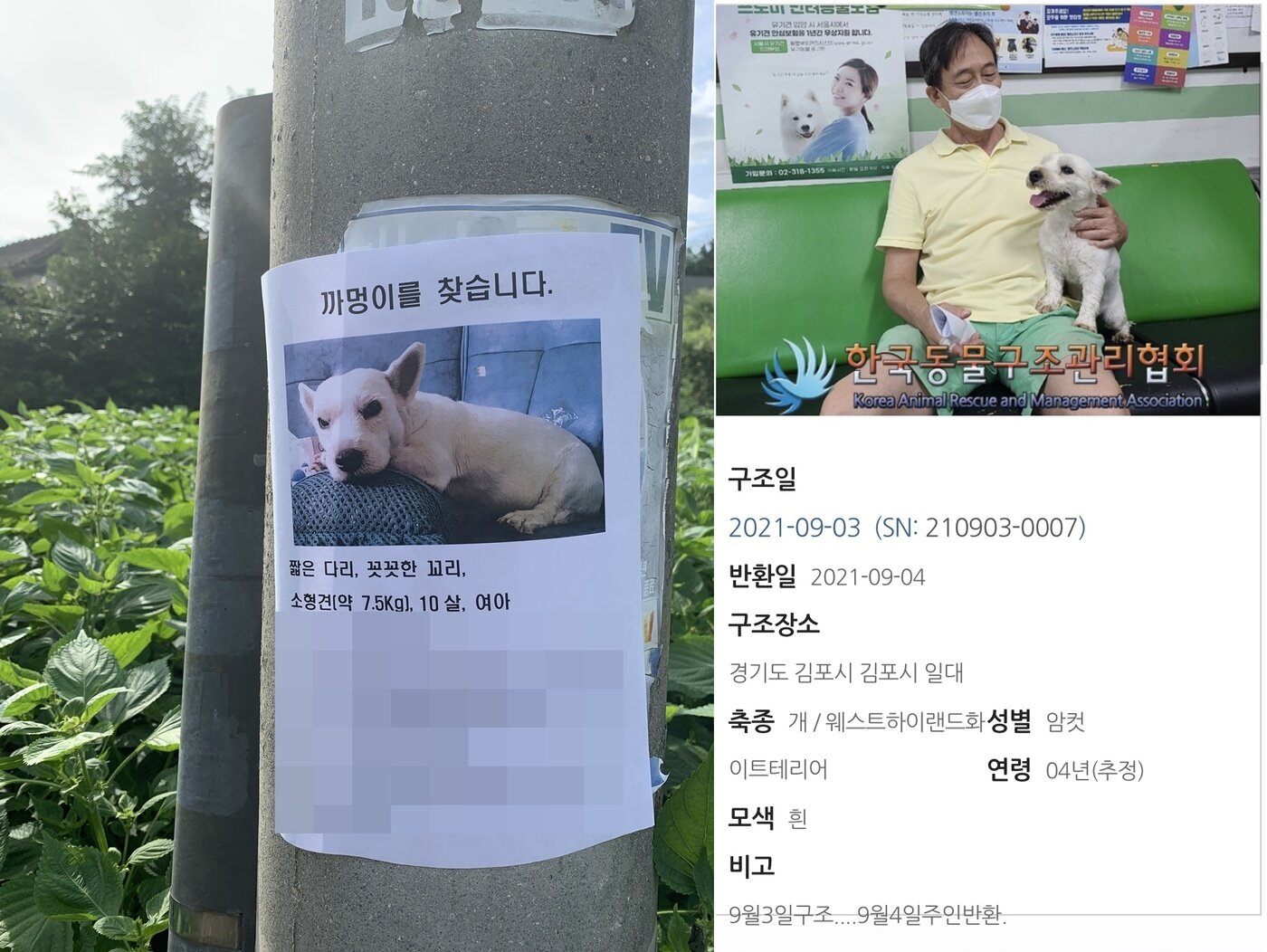 본문 이미지 - 실종됐다 하루 만에 찾은 까멍이&#40;심서현 제공&#41; ⓒ 뉴스1