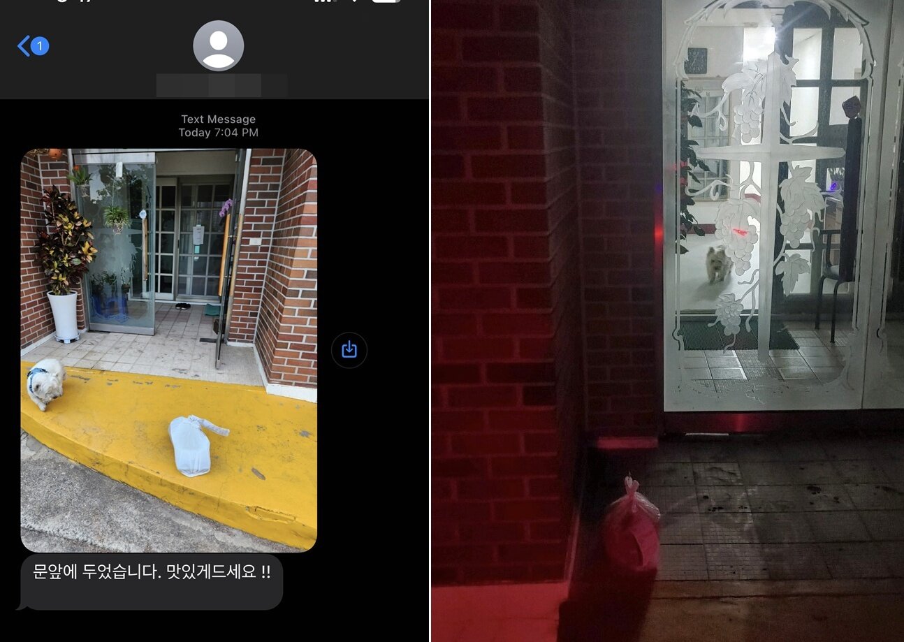 본문 이미지 - 배달기사가 올 때마다 마중나가 사진에 찍힌 까멍&#40;심서현 제공&#41; ⓒ 뉴스1
