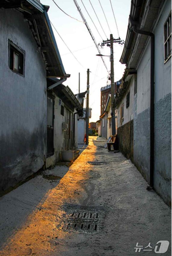 본문 이미지 - (사진작가 박정일 씨 제공, 재판매 및 DB금지) 2025.6.22/뉴스1 