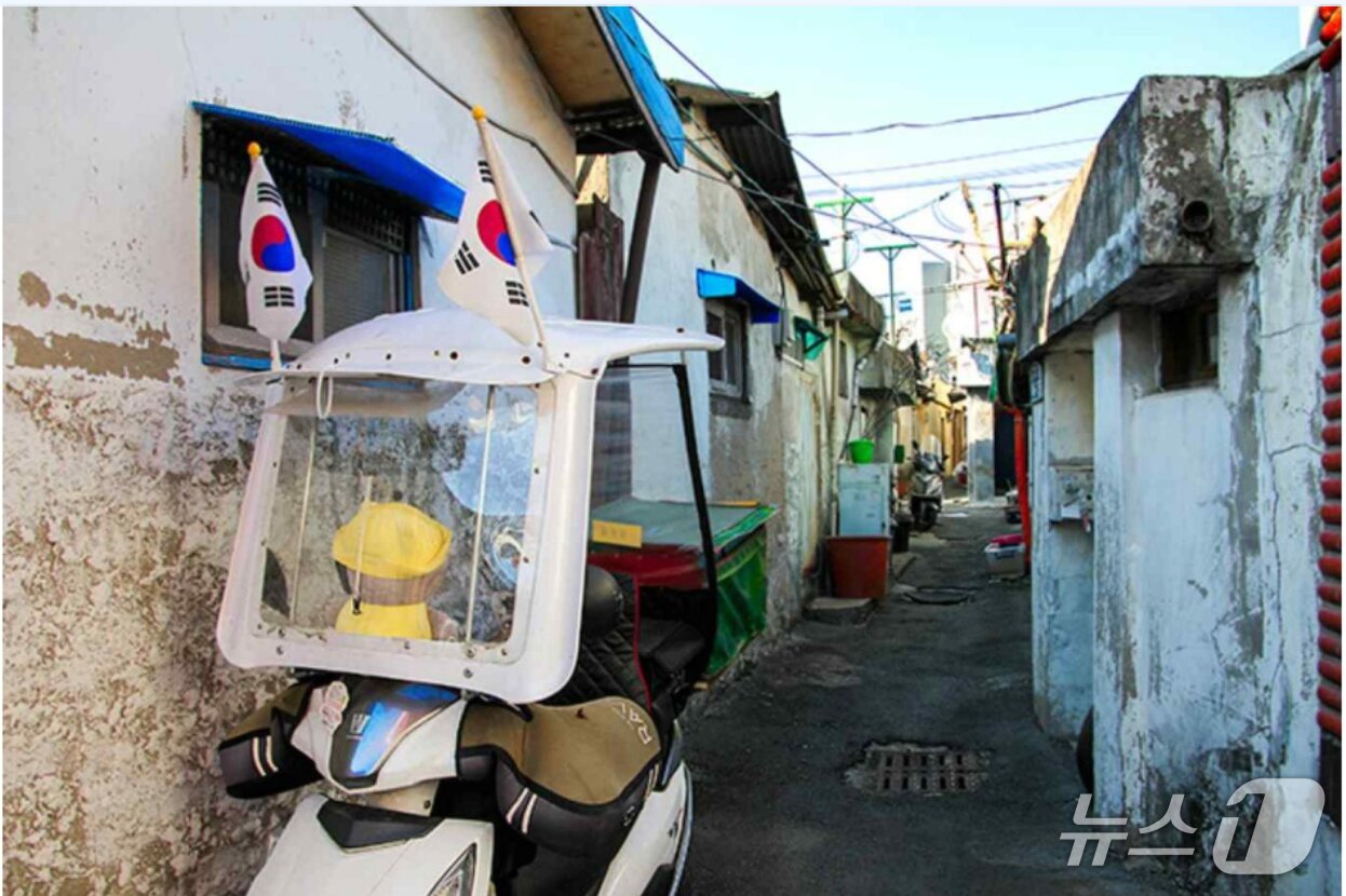 본문 이미지 - (사진작가 박정일 씨 제공, 재판매 및 DB금지) 2025.6.22/뉴스1 