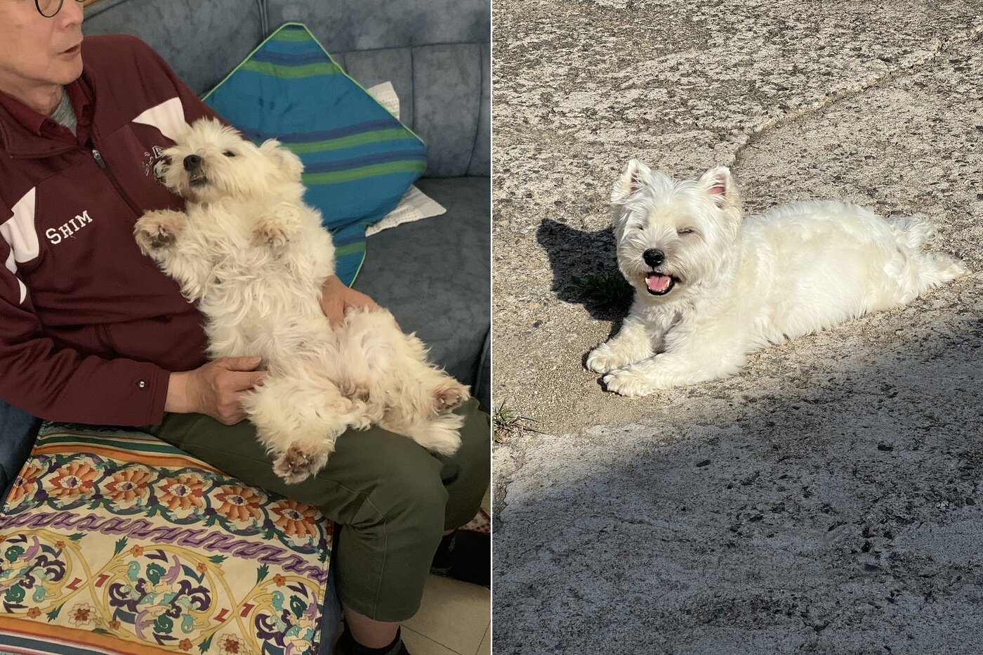 본문 이미지 - 김포의 마스코트 &#39;까멍이&#39; &#40;심서현 제공&#41;ⓒ 뉴스1